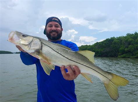 snook fishing florida